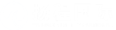 扬程国际