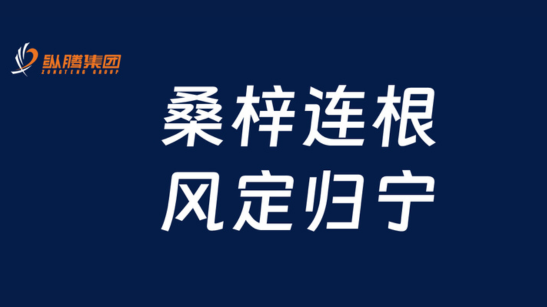 官方认证，实力入选｜海派国际亮相广交会，护航企业合规出海
